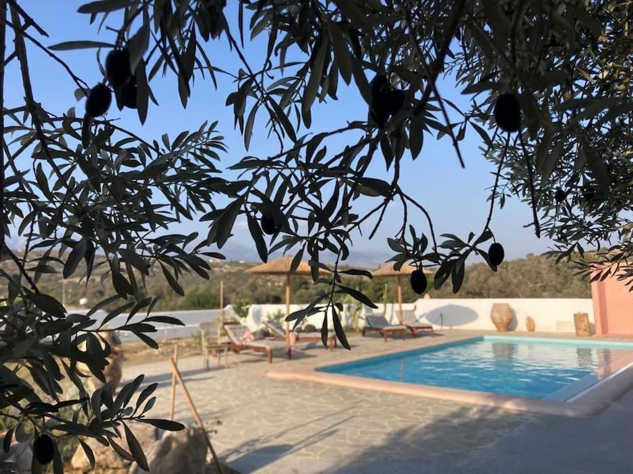 Villa Louloudia Stylish Luxury Villa With Private Pool Pitsidia Ngoại thất bức ảnh