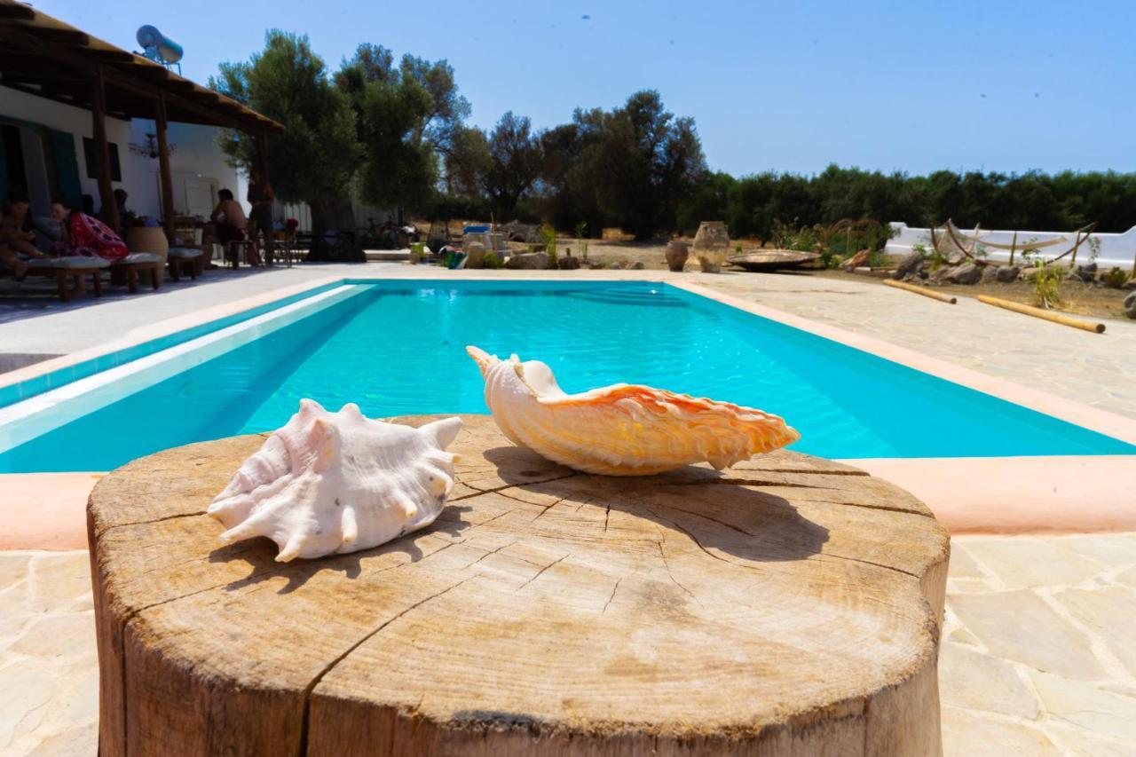 Villa Louloudia Stylish Luxury Villa With Private Pool Pitsidia Ngoại thất bức ảnh